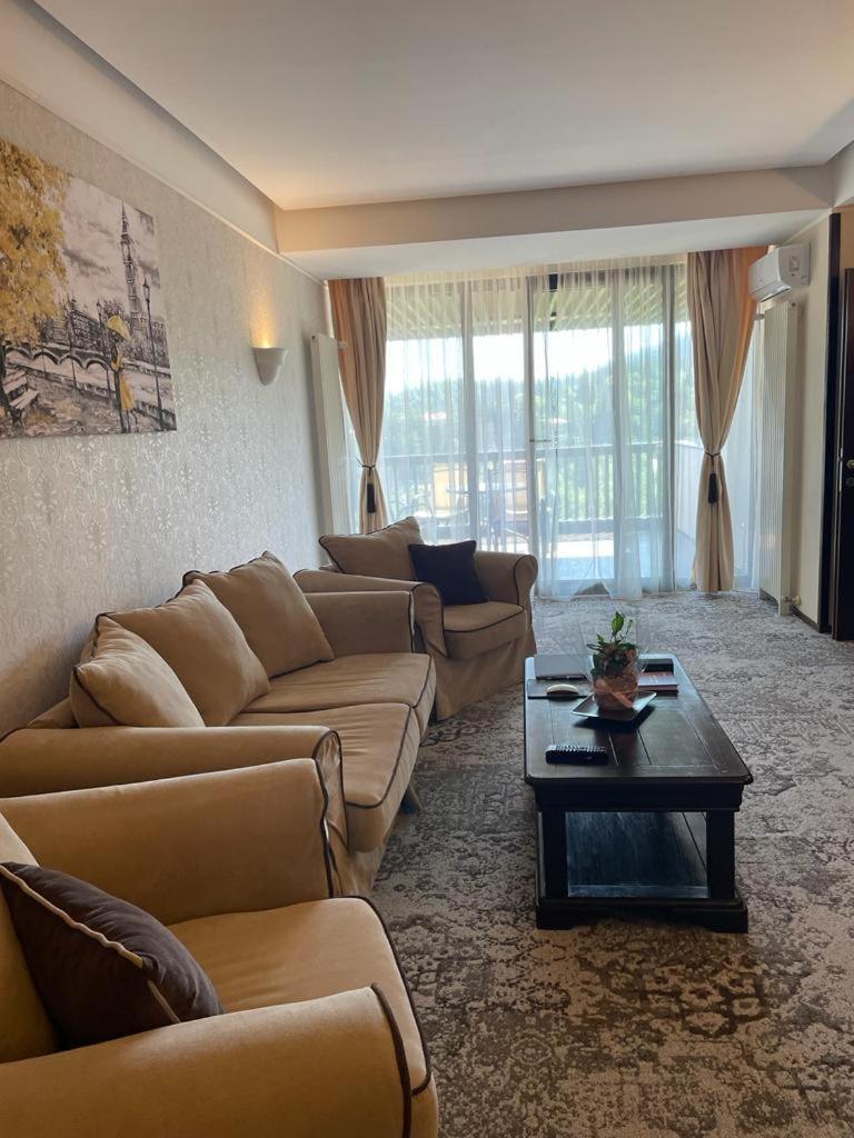 Apartament Executive Vedere Munte Alpin Resort Poiana Brašov Exteriér fotografie